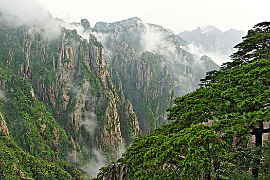 催春药购物平台C1B8D97C5-18975
